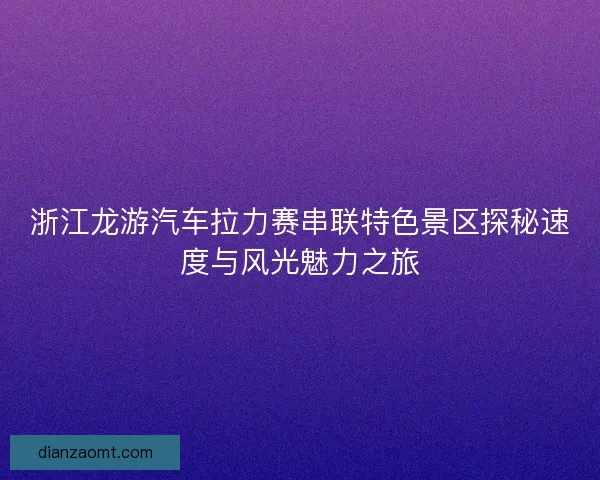 浙江龙游汽车拉力赛串联特色景区探秘速度与风光魅力之旅