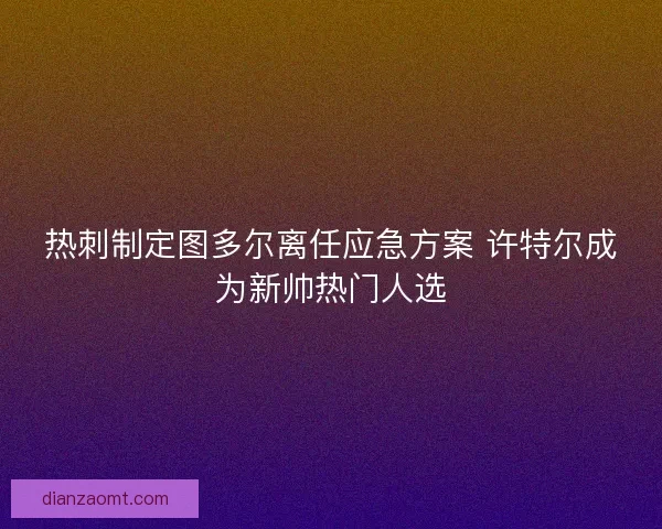 热刺制定图多尔离任应急方案 许特尔成为新帅热门人选