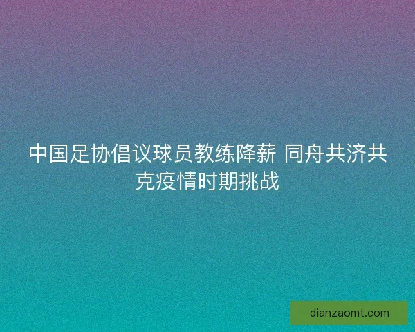 中国足协倡议球员教练降薪 同舟共济共克疫情时期挑战